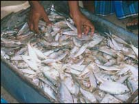 Fishermen