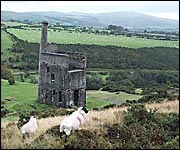 An old mine working