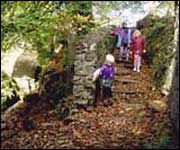 Children walking along a lane