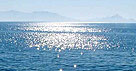 The Aegean Sea