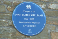 Plac Evan James