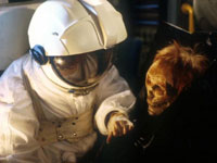 The Star Cops Show