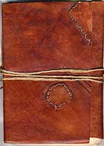 Damian's journal