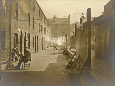 Old Meadows Gallery