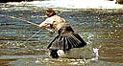 fishing
