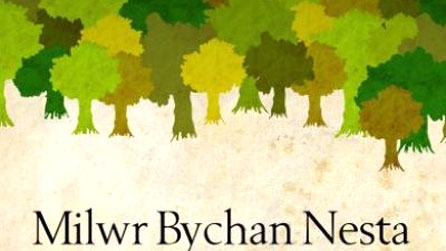 Rhan o glawr y llyfr