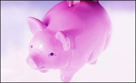 A piggy bank 