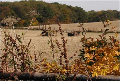 Autumn in Herefordshire.
