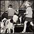 7.  Car repairs  Stanhope St. area l961