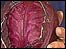 Picture: cabbage: link