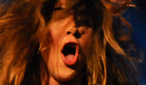 The Zutons
