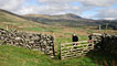 Derek wandering through a gate