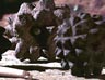 Skara Brae, Orkney Islands