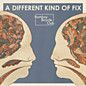Review of A Different Kind of Fix