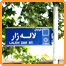 عکسهایی از خیابان لاله زار تهران 