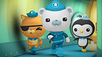 Kwazii, Barnacles and Peso race into action
