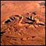 Deserto