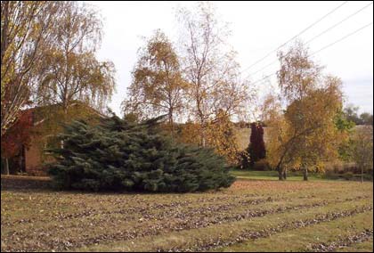 Autumn 2003 after the dry summer from Lower Broadheath.   Max Sinclair