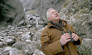 David Dimbleby