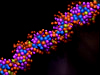 dna model. 