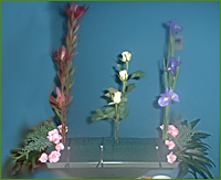 Container with flowers
