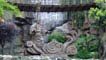Ìomhaigh de laoch agus dràgon ann an Chongqing