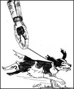 Gnasher - image copyright of Karen Brockhouse