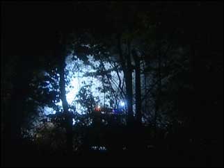 Police car lights in the trees