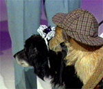 Victorian dogs