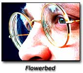 Flowerbed