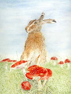 Grenville Allen