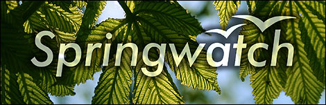 Springwatch logo