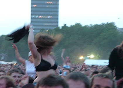 The Crowd