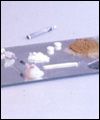 The Deal with Drugs BBC World Service