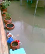 View from Leia's back door on the day of the flood