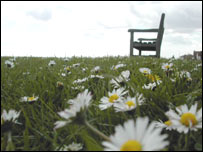 The greensward