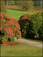 Boconnoc