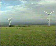 Wind Farm