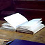 The novel brought to book