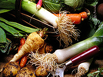 Vegetables