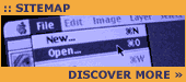 Find everything on this site...