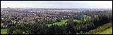 Lickey Hills 3