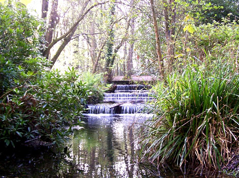 Tehidy Country Park near Polzeath