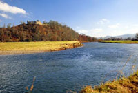 Castell Dinefwr