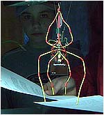robotic insect. 