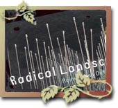 Radical Landscapes