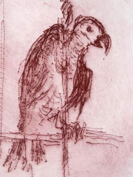 Benjamin Britton's Parrot by Milein Cosman