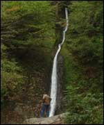 White Lady Waterfall