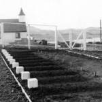 The graves of the German airmen at Brautarholt, Iceland The graves of the German airmen at Brautarholt, Iceland
