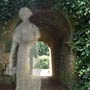the white lady